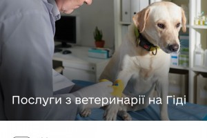 Які ветеринарні сервіси доступні на Гіді з державних послуг?