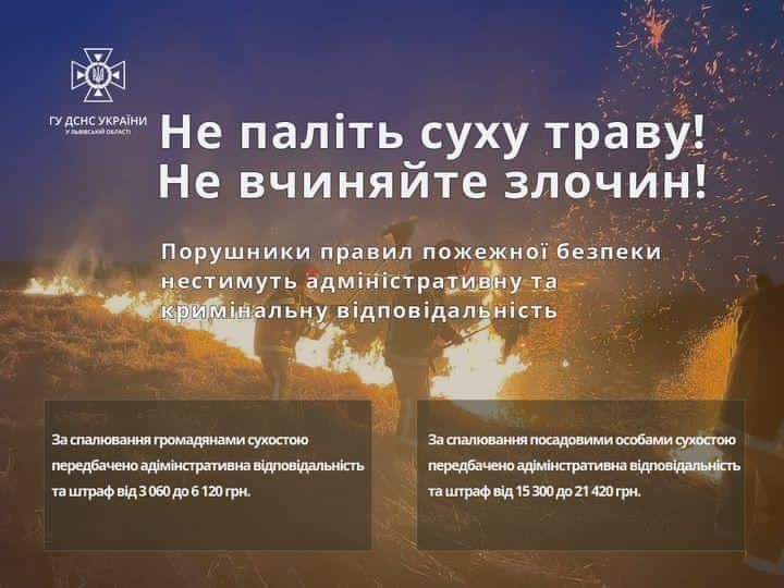 Якщо на вулиці не дощить, це не привід випалювати сухостій