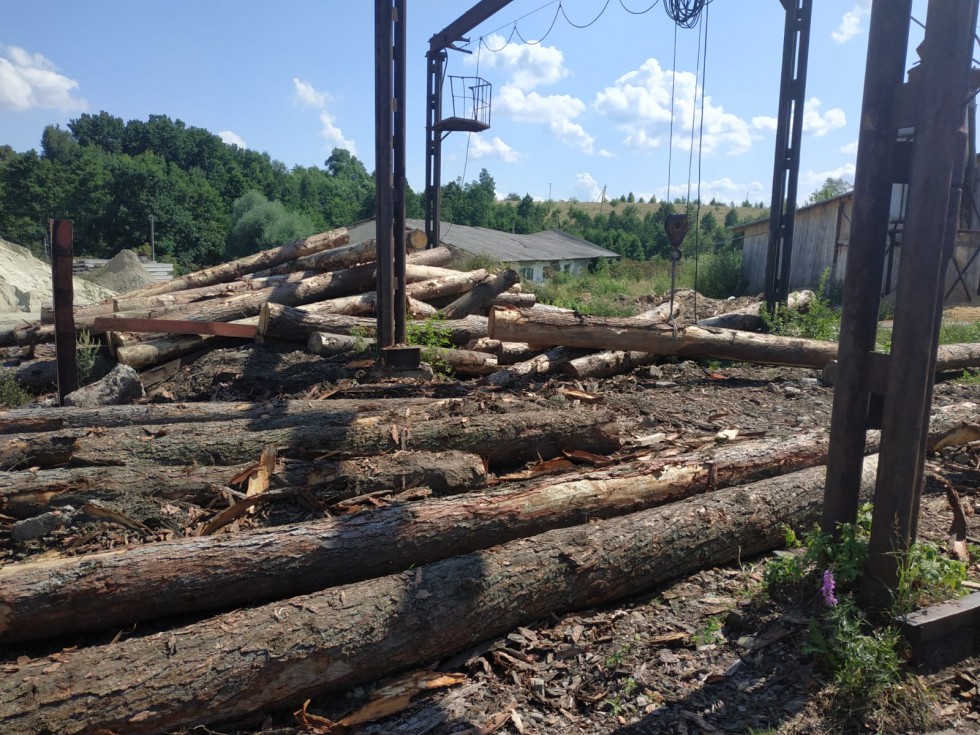 ​У Меденицькій ТГ під час перевірки виявили незаконну лісопилку