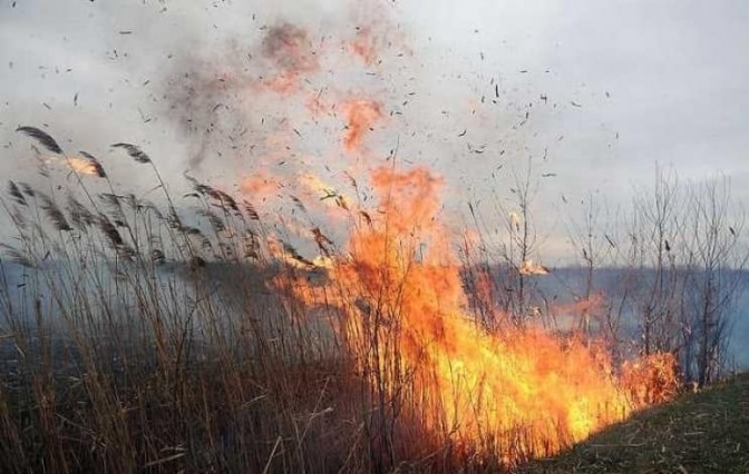 До уваги населення: на Львівщині очікують високий рівень пожежної небезпеки До уваги населення: на Львівщині очікують високий рівень пожежної небезпеки