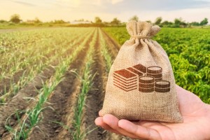 Відбудуться електронні аукціони щодо оренди землі у Бориславській та Меденицькій громадах Відбудуться електронні аукціони щодо оренди землі у Бориславській та Меденицькій громадах