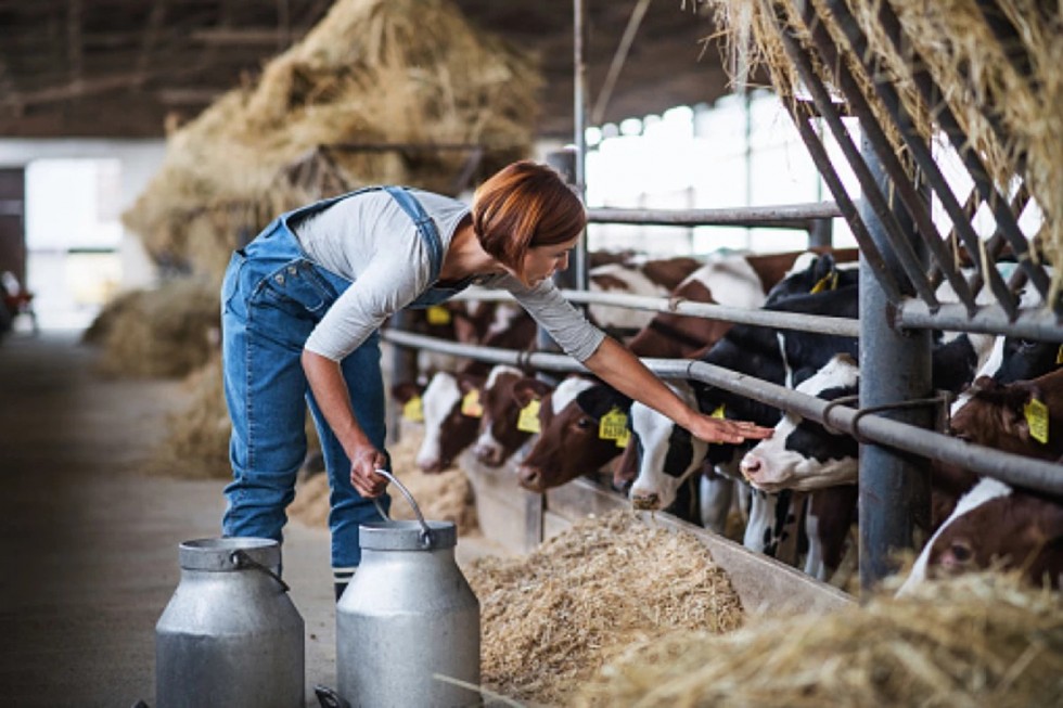 Сто тисяч для жіночого бізнесу: стартував конкурс від Danone та CSR Ukraine