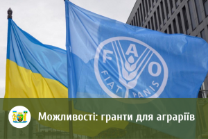 Інвестиції на ягідництво, молочарство та аквакультуру: нові можливості для аграріїв