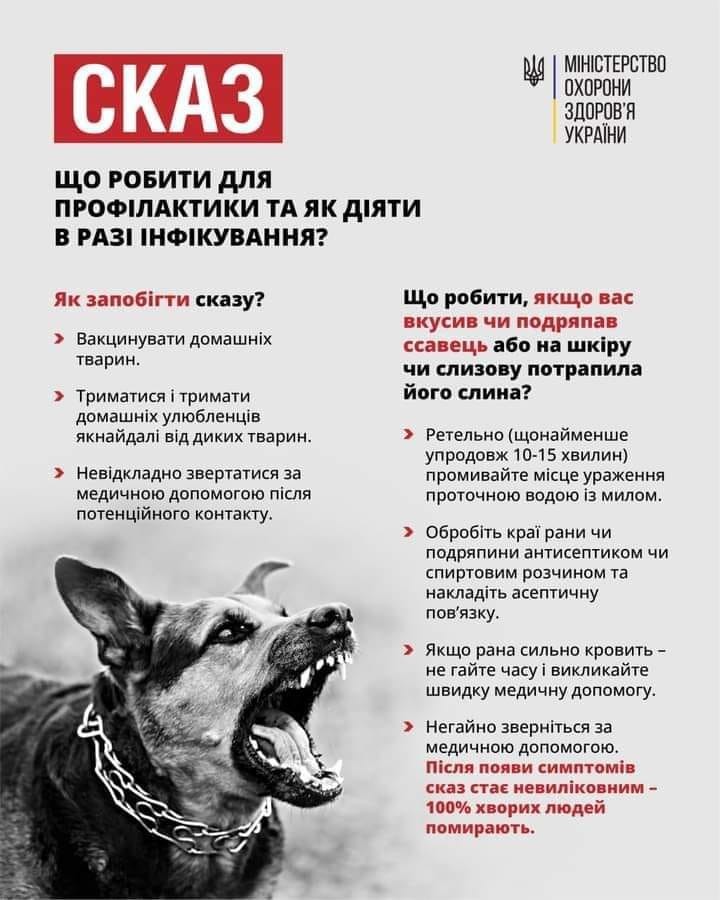 Сказ: що робити для профілактики та як діяти в разі інфікування?