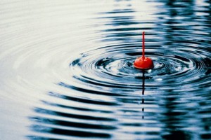 У Львівській області розпочинається нерестова заборона на вилов щуки