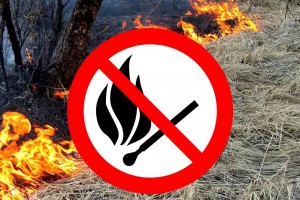 Нагадуємо про заборону спалювання трави