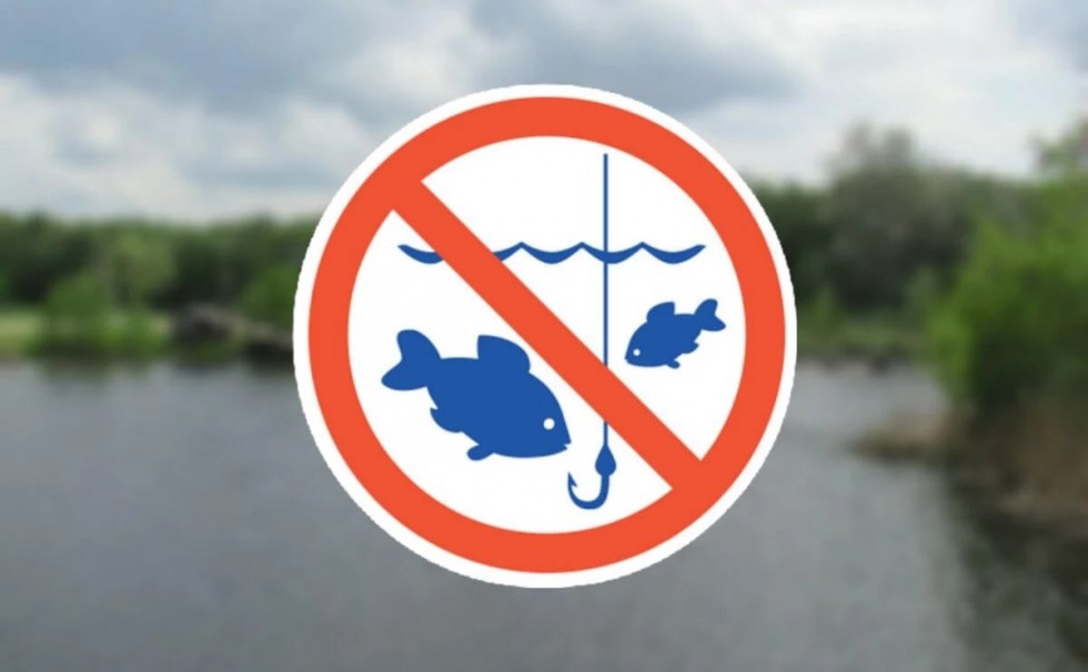 З 1 листопада в області розпочинається заборона на вилов риби