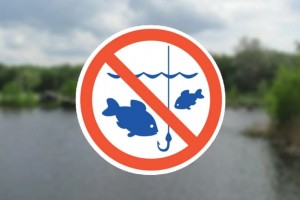 З 1 листопада в області розпочинається заборона на вилов риби