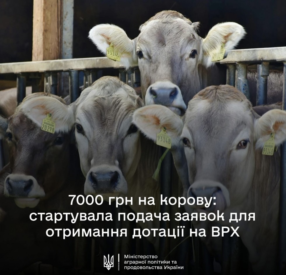 В Державному аграрному реєстрі стартує добір на спеціальну бюджетну дотацію на утримання поголів’я корів В Державному аграрному реєстрі стартує добір на спеціальну бюджетну дотацію на утримання поголів’я корів