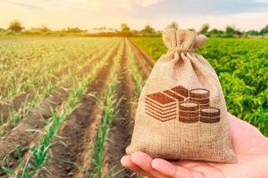Пільги щодо сплати земельного податку