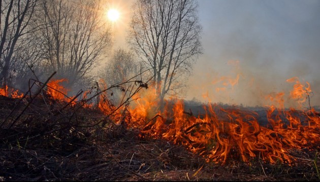 Спалення сухостою на відкритих ділянках карається штрафом до 6 тисяч гривень