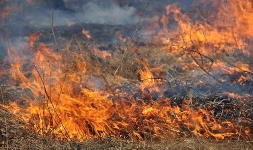 До уваги правопорушників: за спалювання сухого листя передбачено штраф понад 30 тисяч гривень