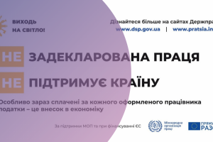 Задекларована праця