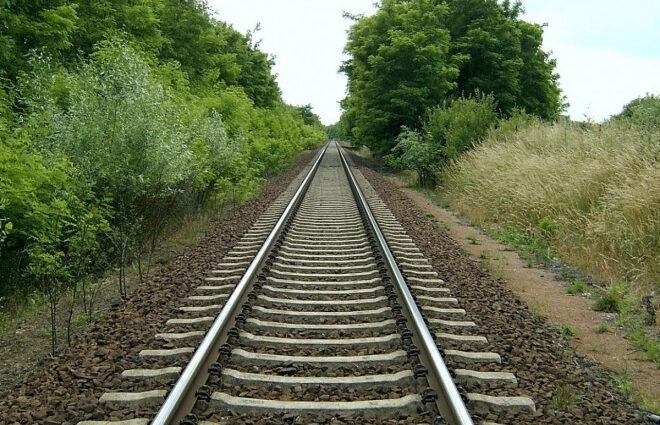 За самовільну вирубку захисних насаджень можна отримати штраф у 25 000 гривень