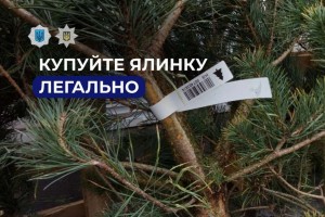 Як купити легальну ялинку і не нарватися на штраф?