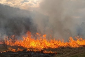 Палити листя та сміття - заборонено!
