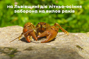На Львівщині діє літньо-осіння заборона на вилов раків