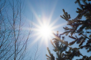 Від 10 до 15&deg; тепла: якою буде погода на Львівщині 31 березня