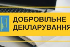 Триває кампанія одноразового добровільного декларування