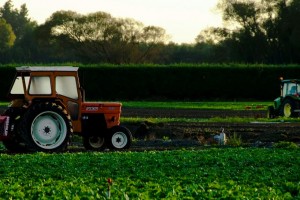 Уряд запускає нову програму підтримки аграріїв для закупівлі українських добрив та збільшує компенсації на меліорацію Уряд запускає нову програму підтримки аграріїв для закупівлі українських добрив та збільшує компенсації на меліорацію