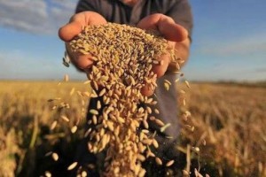 Аграрії Львівщини можуть отримати мікрогранти до 2500 євро для підготовки до виходу на єдиний ринок ЄС Аграрії Львівщини можуть отримати мікрогранти до 2500 євро для підготовки до виходу на єдиний ринок ЄС