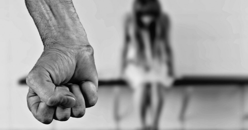 Деяка інформація про  домашнє насильство