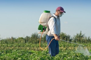 Особливості використання пестицидів на присадибних ділянках