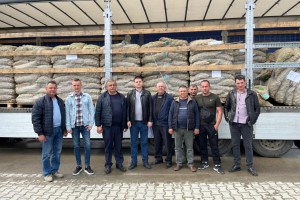 Дрогобицькі аграрії отримали ще 22 тонни насіннєвої картоплі з Голландії