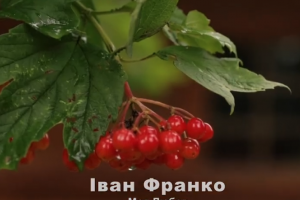 До 170-річчя від дня народження Івана Франка