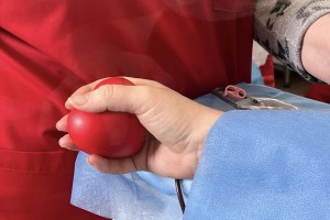 Вкотре команда Дрогобицької РВА стали донорами крові