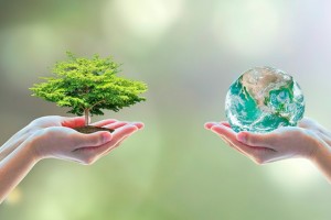 Щодо інформування про видачу висновку з оцінки впливу на довкілля планованої діяльності