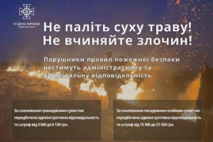 Якщо на вулиці не дощить, це не привід випалювати сухостій Якщо на вулиці не дощить, це не привід випалювати сухостій
