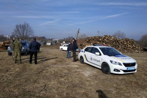 І знову не чіпована деревина: Поблизу Верхніх Гаїв спецкомісія провела перевірку