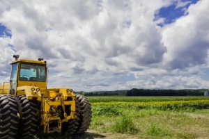 Фермери Львівщини можуть отримати фінансову підтримку до 1 млн грн