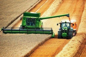 Аграрії Львівщини зібрали понад 60% посівних площ пізніх культур