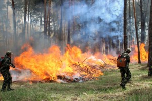 До уваги населення: на Львівщині очікують надзвичайний рівень пожежної небезпеки