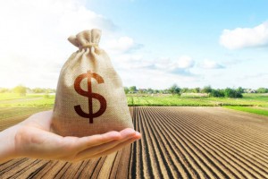 В межах ринку землі на Львівщині продали близько 1000 гектарів паїв