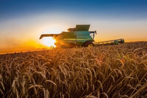 В межах ринку землі на Львівщині продали понад 1200 гектарів паїв